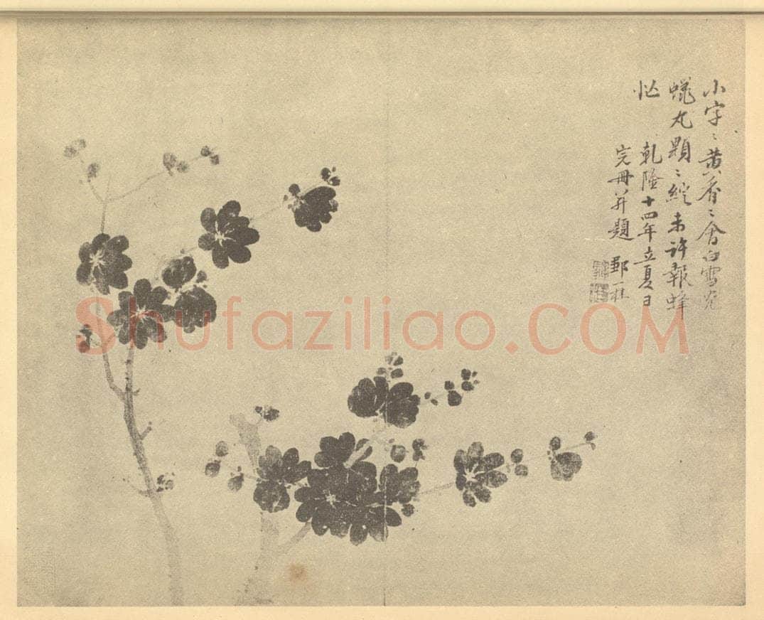 清 邹一桂《蜡梅》国画作品