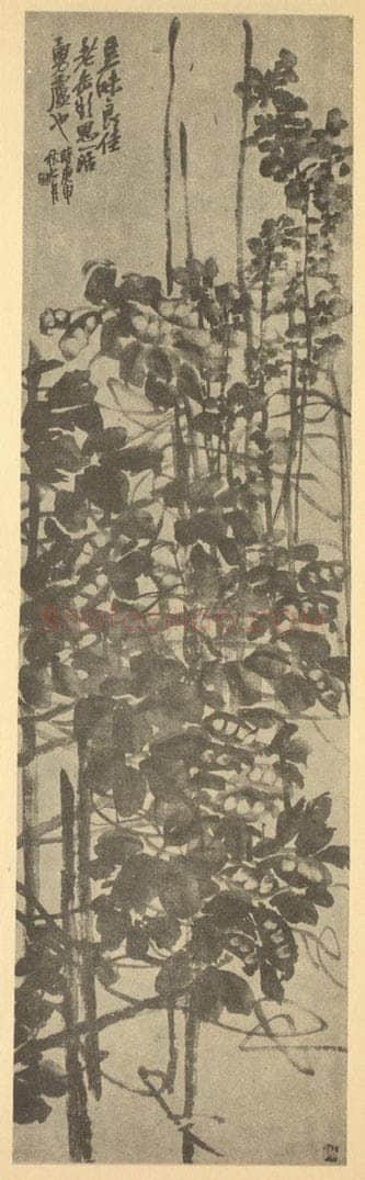 清 吴昌硕《荳花图》国画作品