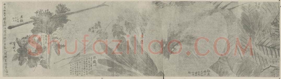 清 赵之谦《瓯中物产卷（二）》国画作品