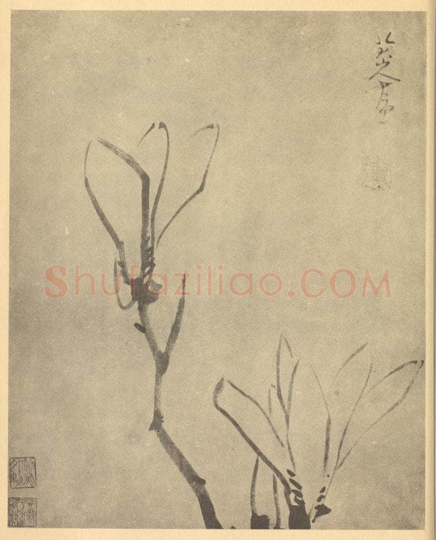 清 朱耷《木兰》国画作品