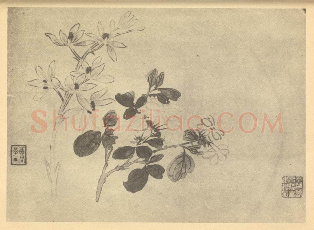 清 蒋廷锡《蕙茉莉》国画作品