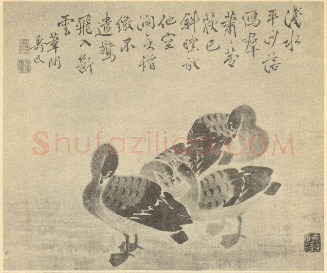 清 边寿民《芦雁图(九)》国画作品