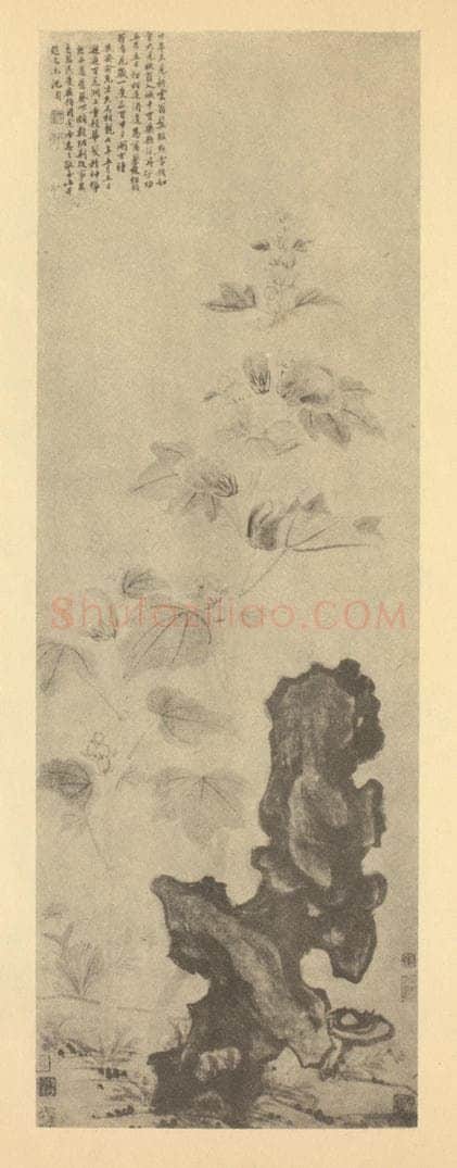 明 沈周《芙蓉图》国画作品