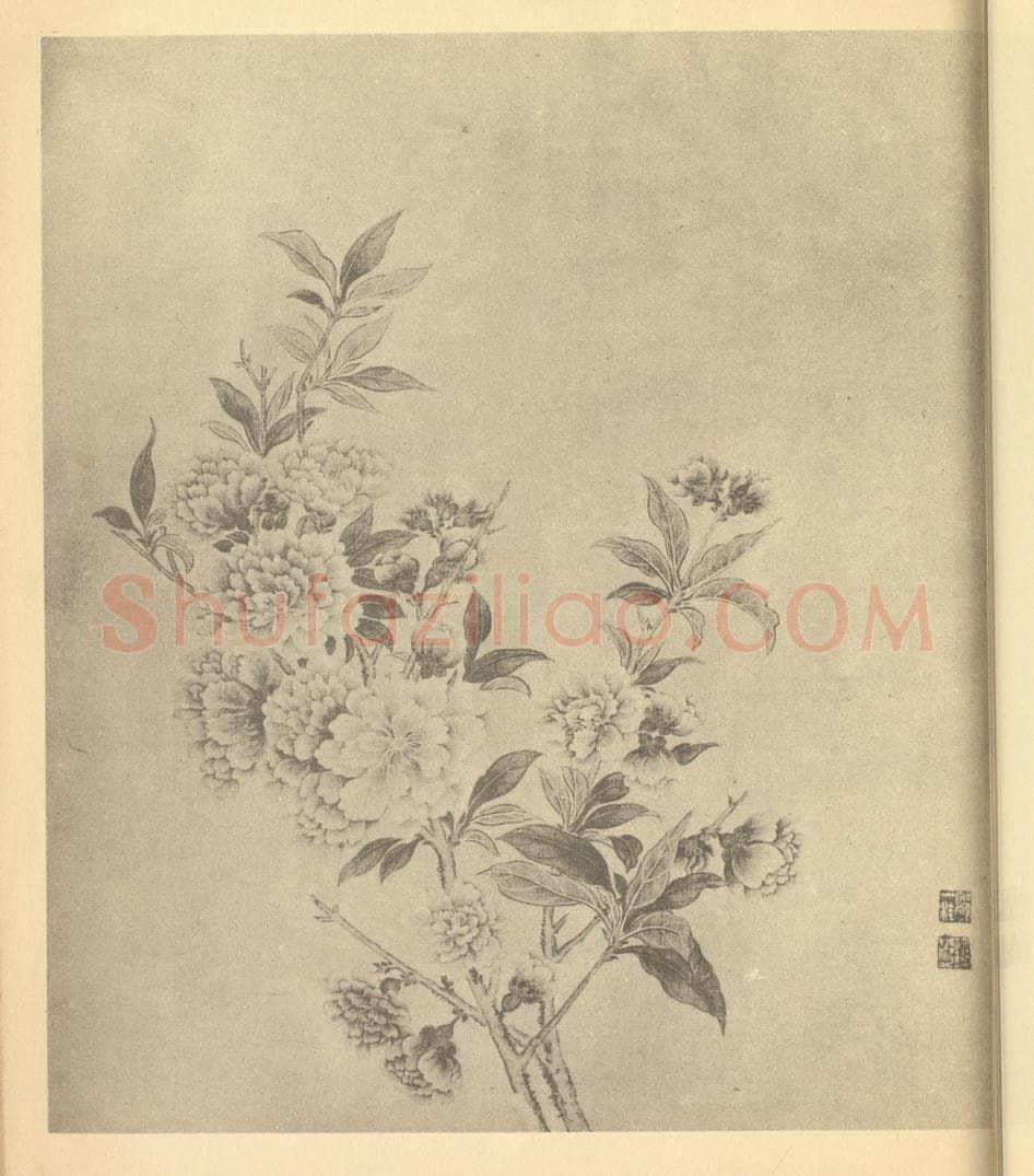 清 邹一桂《芍药》国画作品