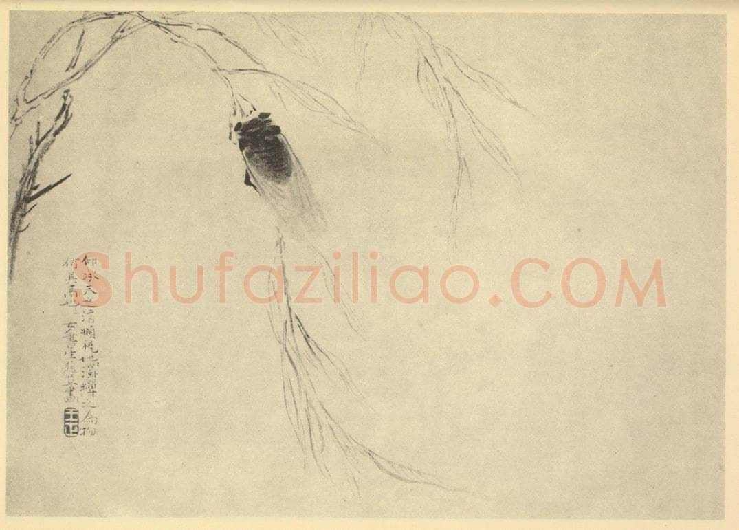 清 王正《秋蝉图》国画作品