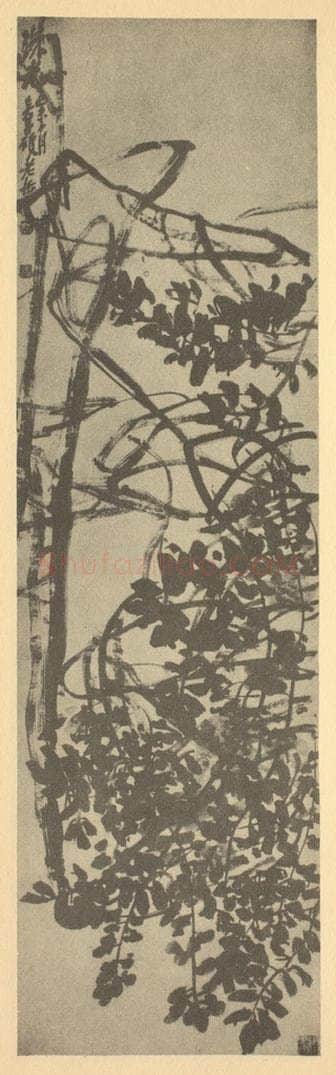清 吴昌硕《珠藤》国画作品