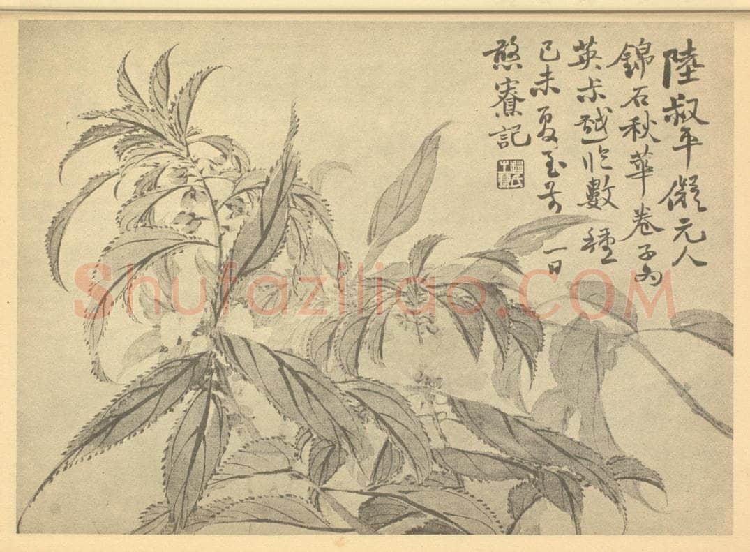 清 赵之谦《凤仙花》国画作品