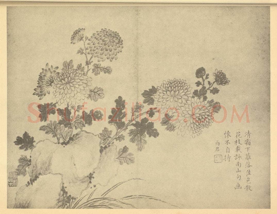 清 蒋廷锡《菊石》国画作品