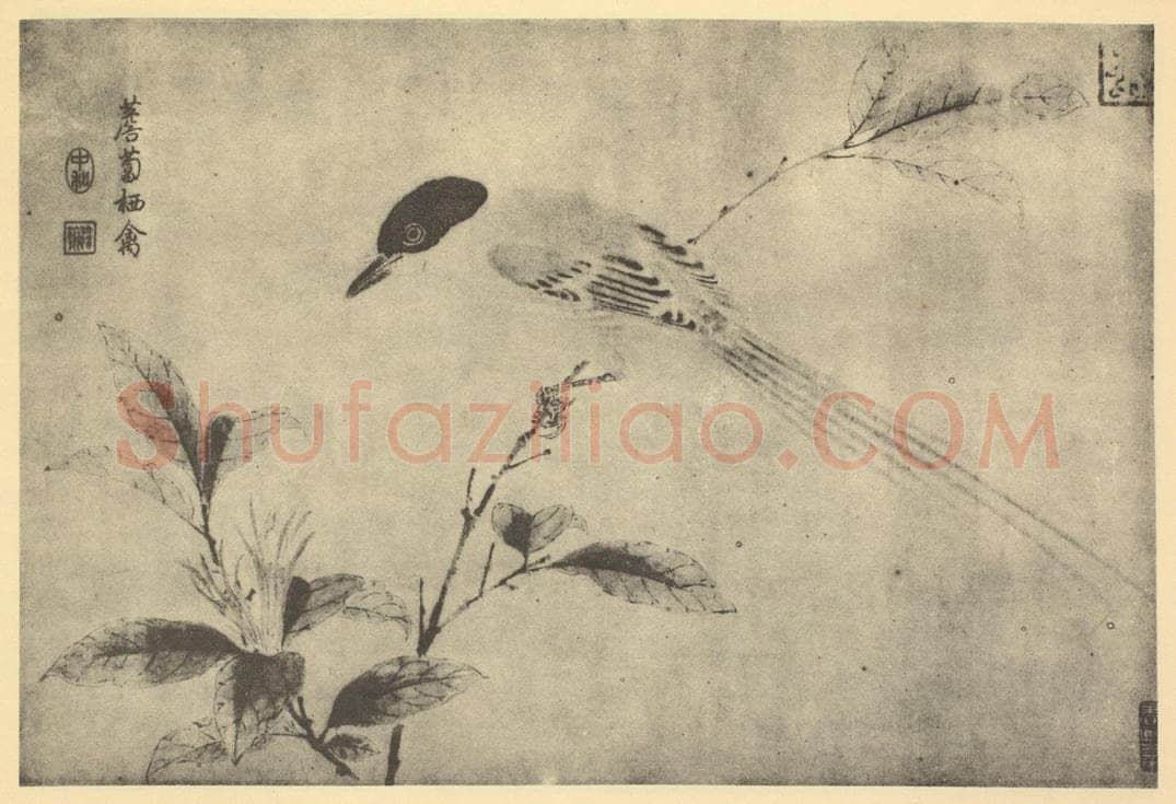 宋·辽 宋人《薝卜栖禽》国画作品