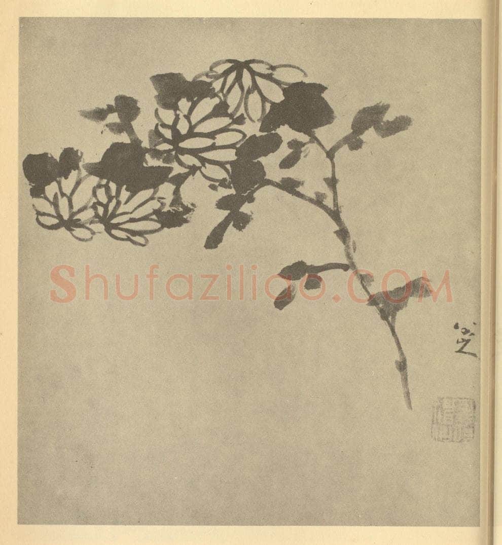清 朱耷《菊》国画作品