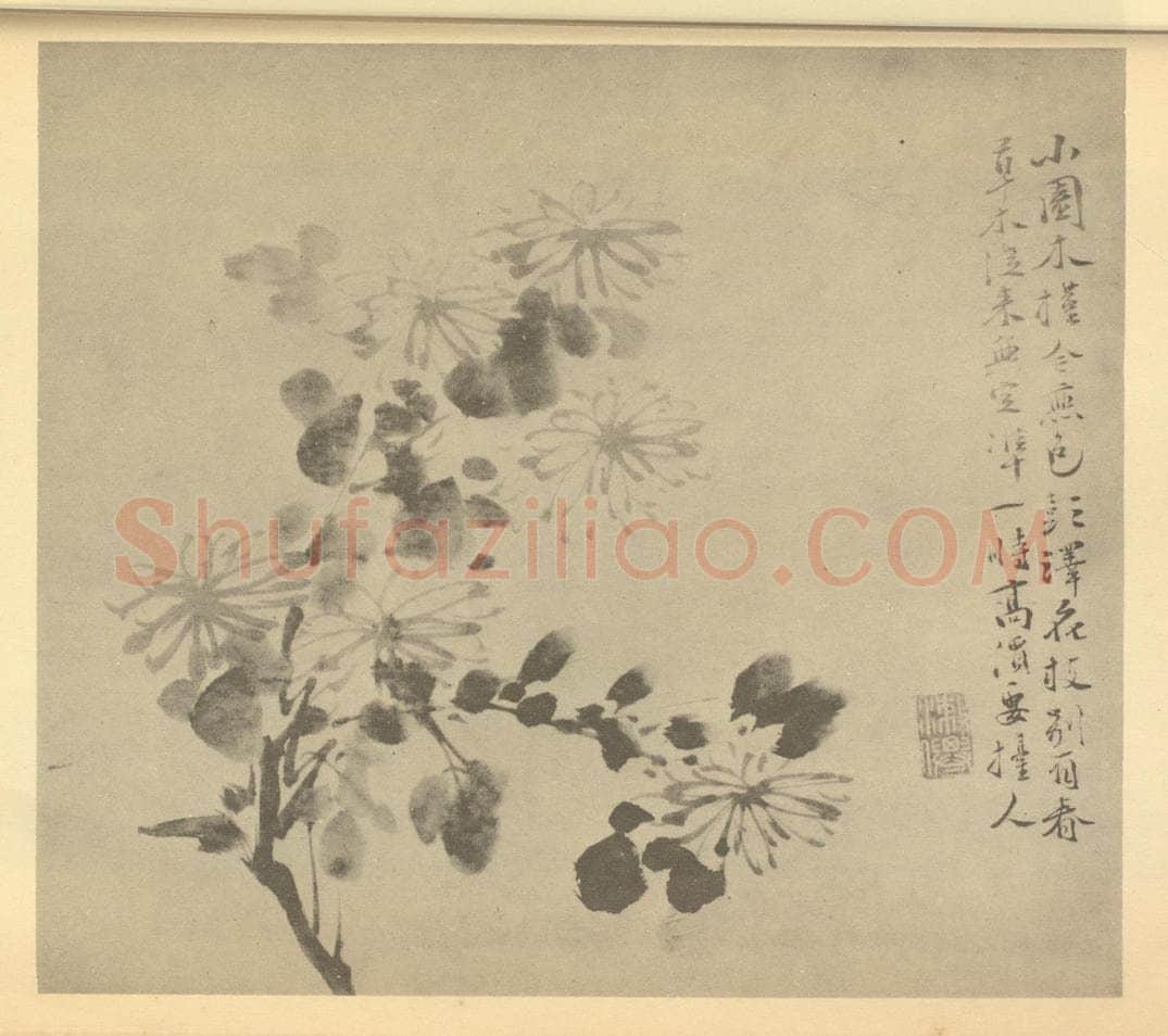明 徐渭《菊》国画作品