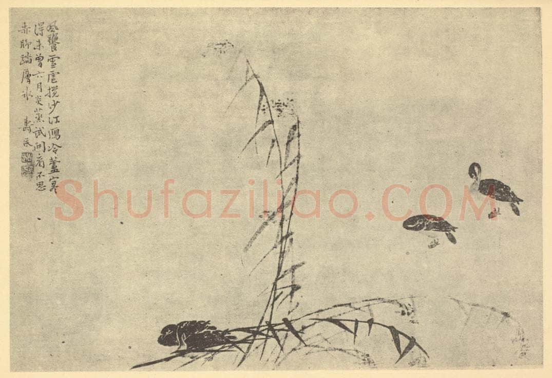 清 边寿民《芦雁图(七)》国画作品