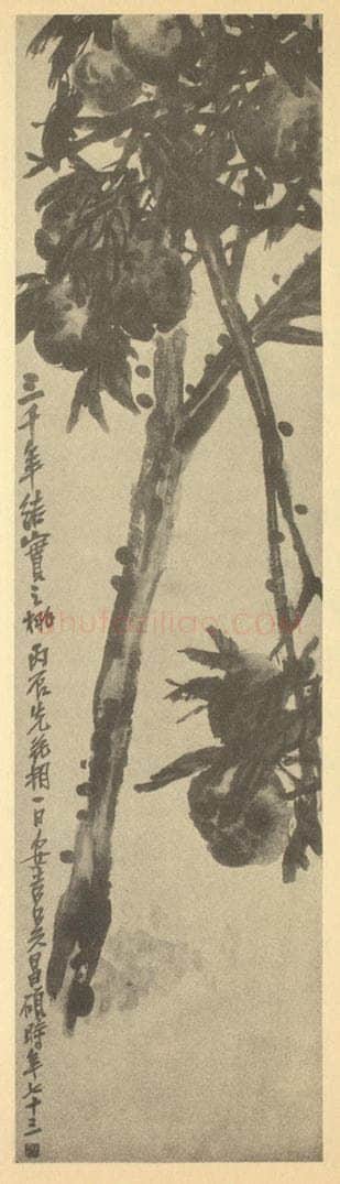 清 吴昌硕《桃子》国画作品