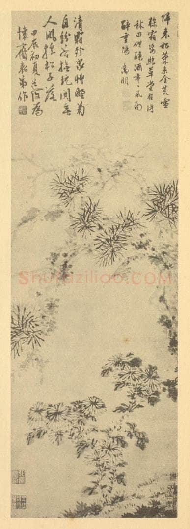 明 陈淳《松菊图》国画作品