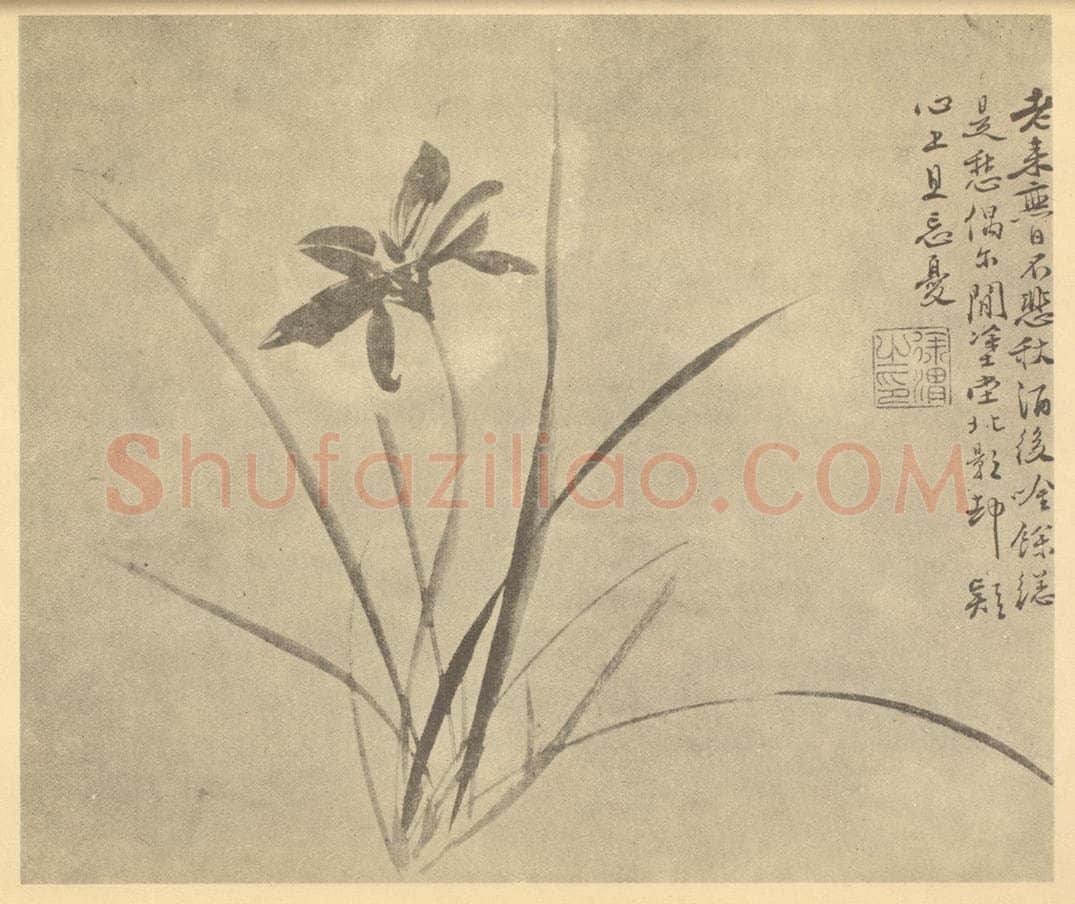 明 徐渭《萱草》国画作品