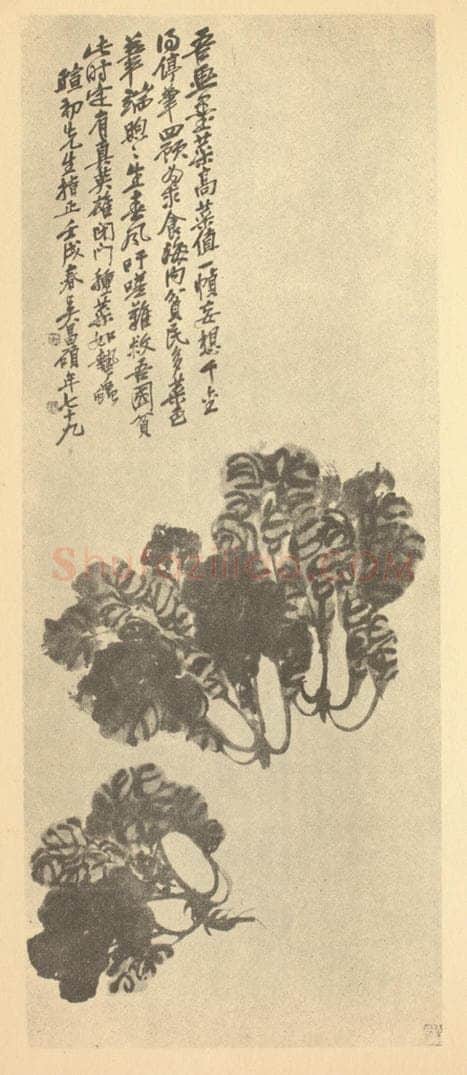 清 吴昌硕《墨菜》国画作品