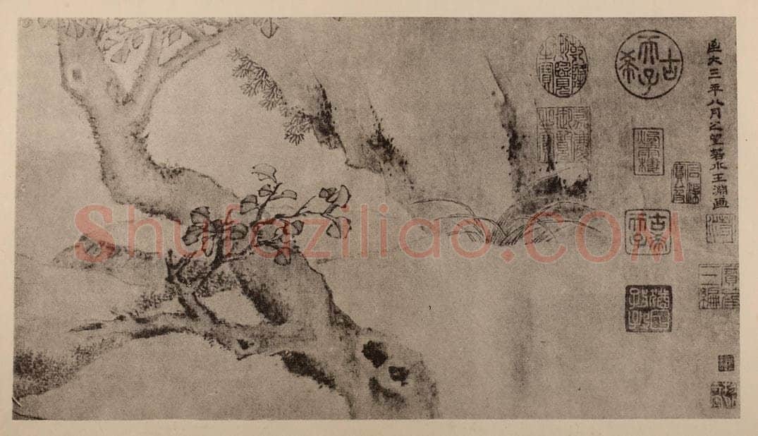 元 王渊《秋塘立鹭图卷（一）》国画作品
