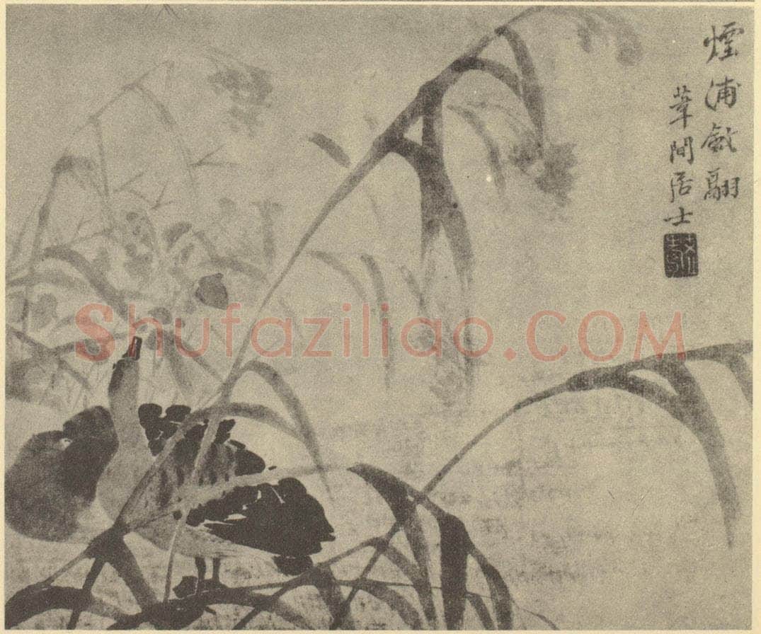清 边寿民《芦雁图(二)》国画作品