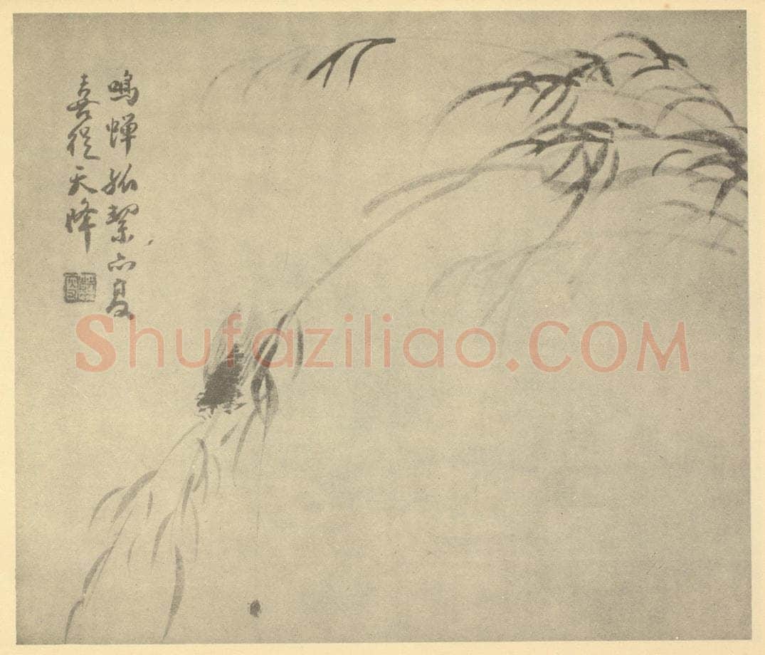 清 陈豪《鸣蝉图》国画作品