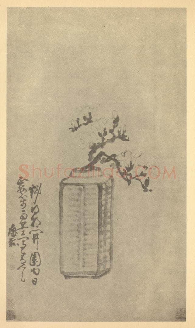 清 黄慎《木莲图》国画作品