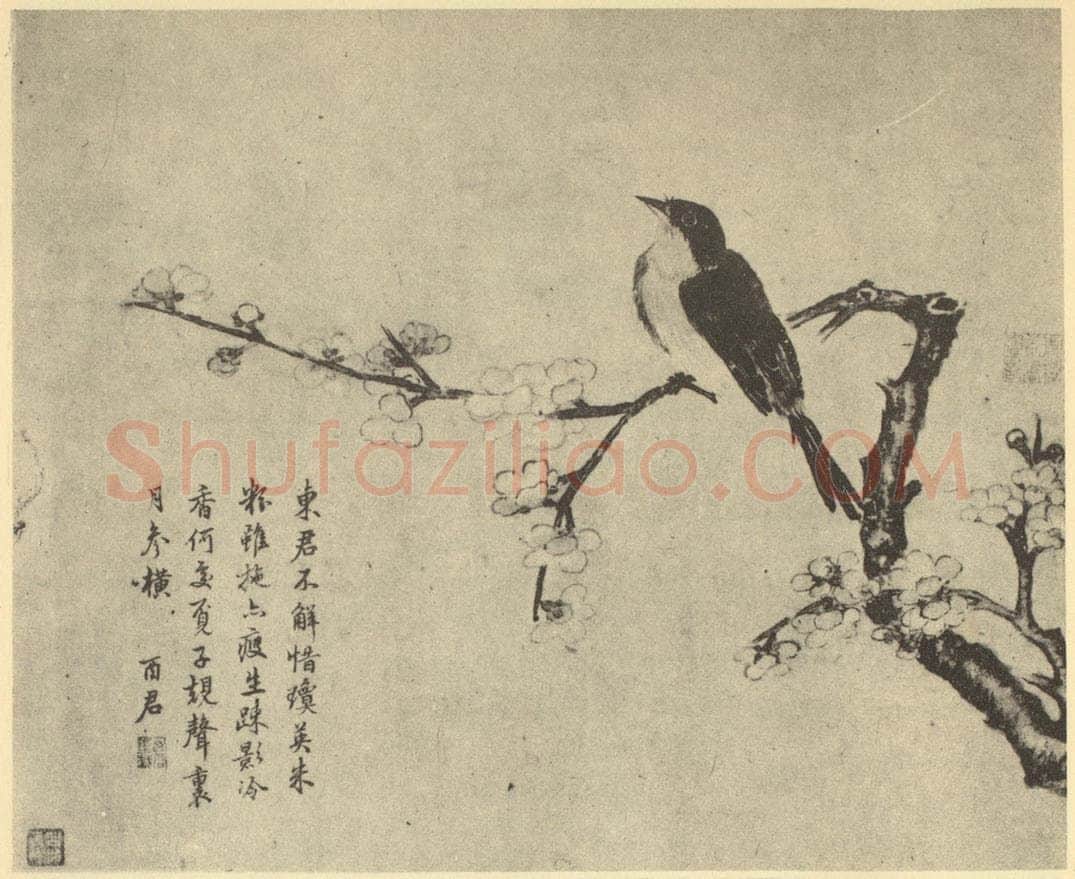 清 蒋廷锡《花鸟》国画作品