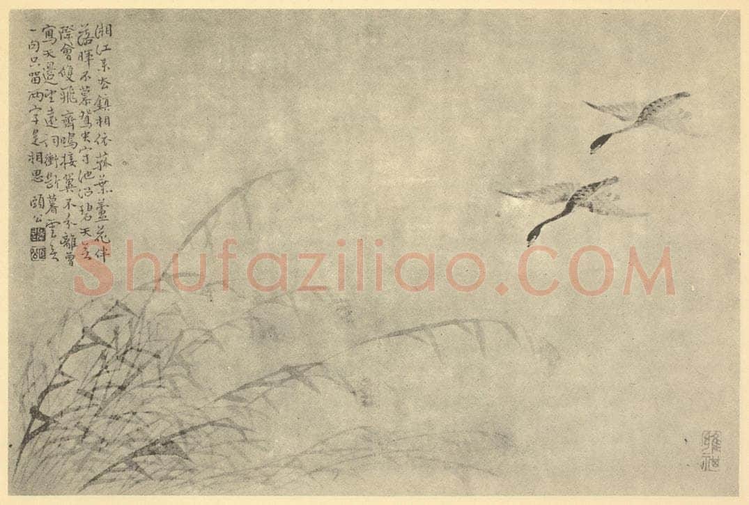 清 边寿民《芦雁图(四)》国画作品