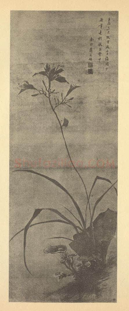 清 蒋廷锡《萱花图》国画作品