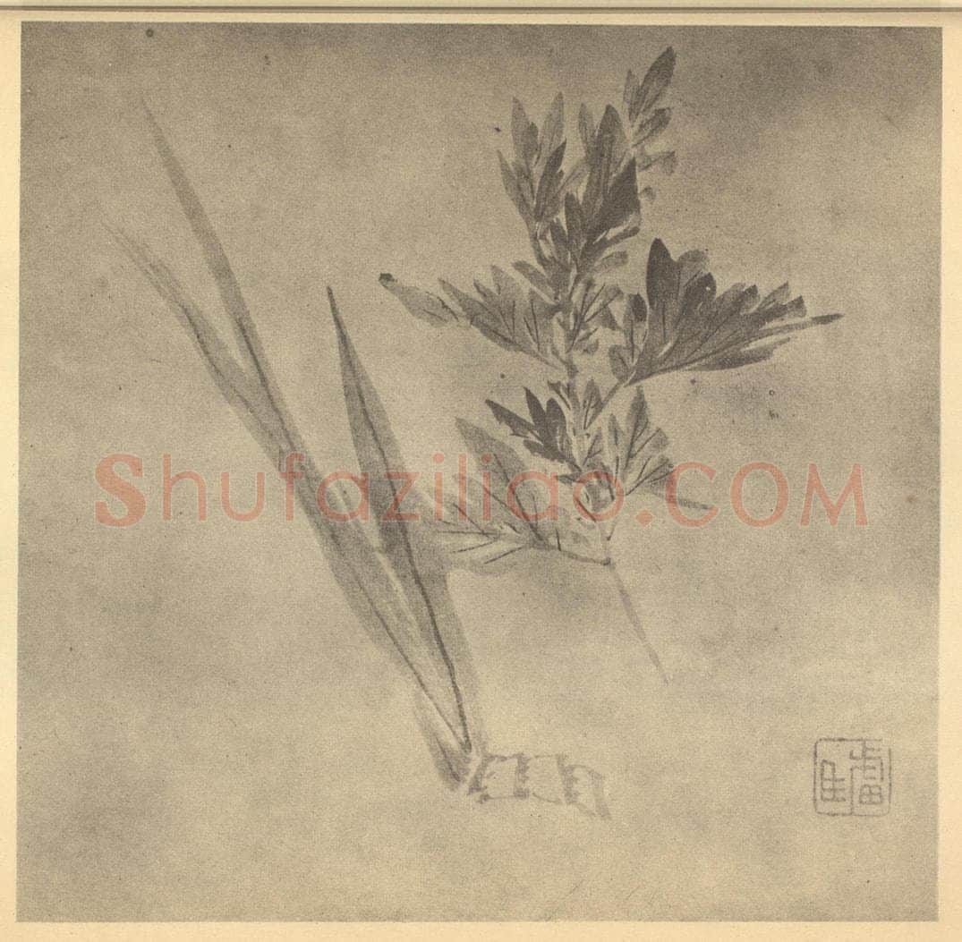 清 朱耷《艾蒲》国画作品