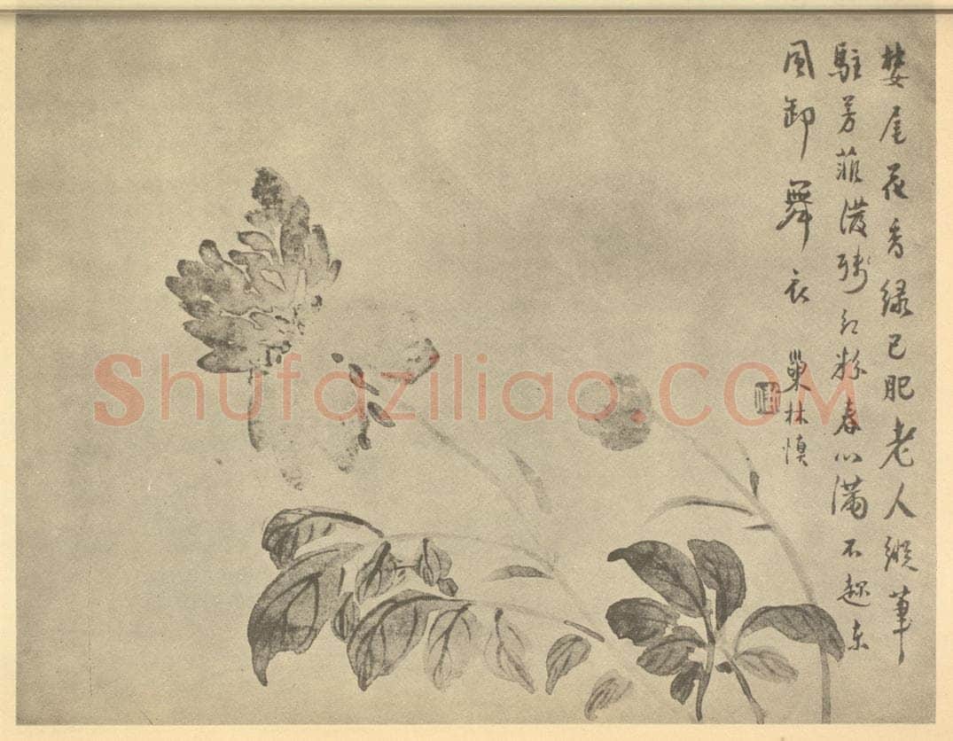 清 汪士慎《芍药》国画作品