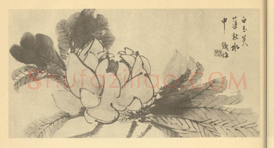 清 胡璋《芙蕖》国画作品