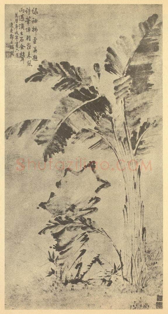清 邹之麟《蕉石图》国画作品