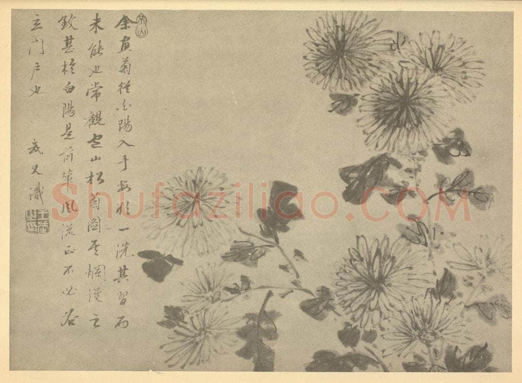 清 王武《菊》国画作品