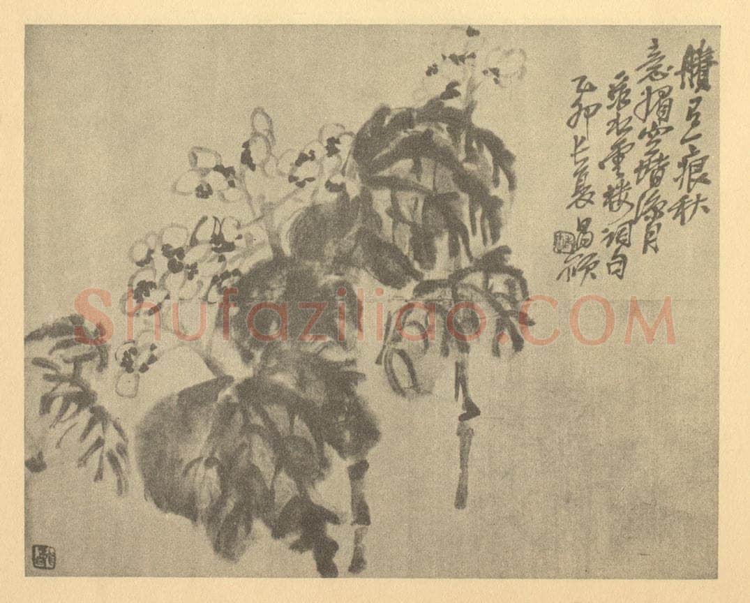 清 吴昌硕《秋海棠》国画作品