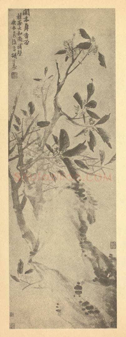 清 胡远《桂花图》国画作品