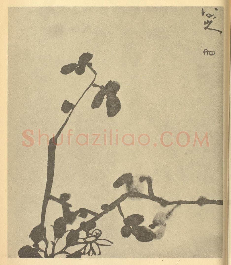 清 朱耷《菊》国画作品