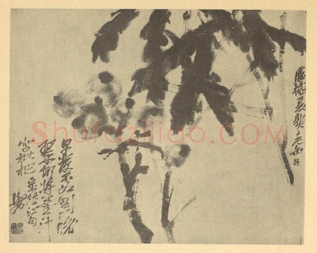 清 吴昌硕《枇杷》国画作品