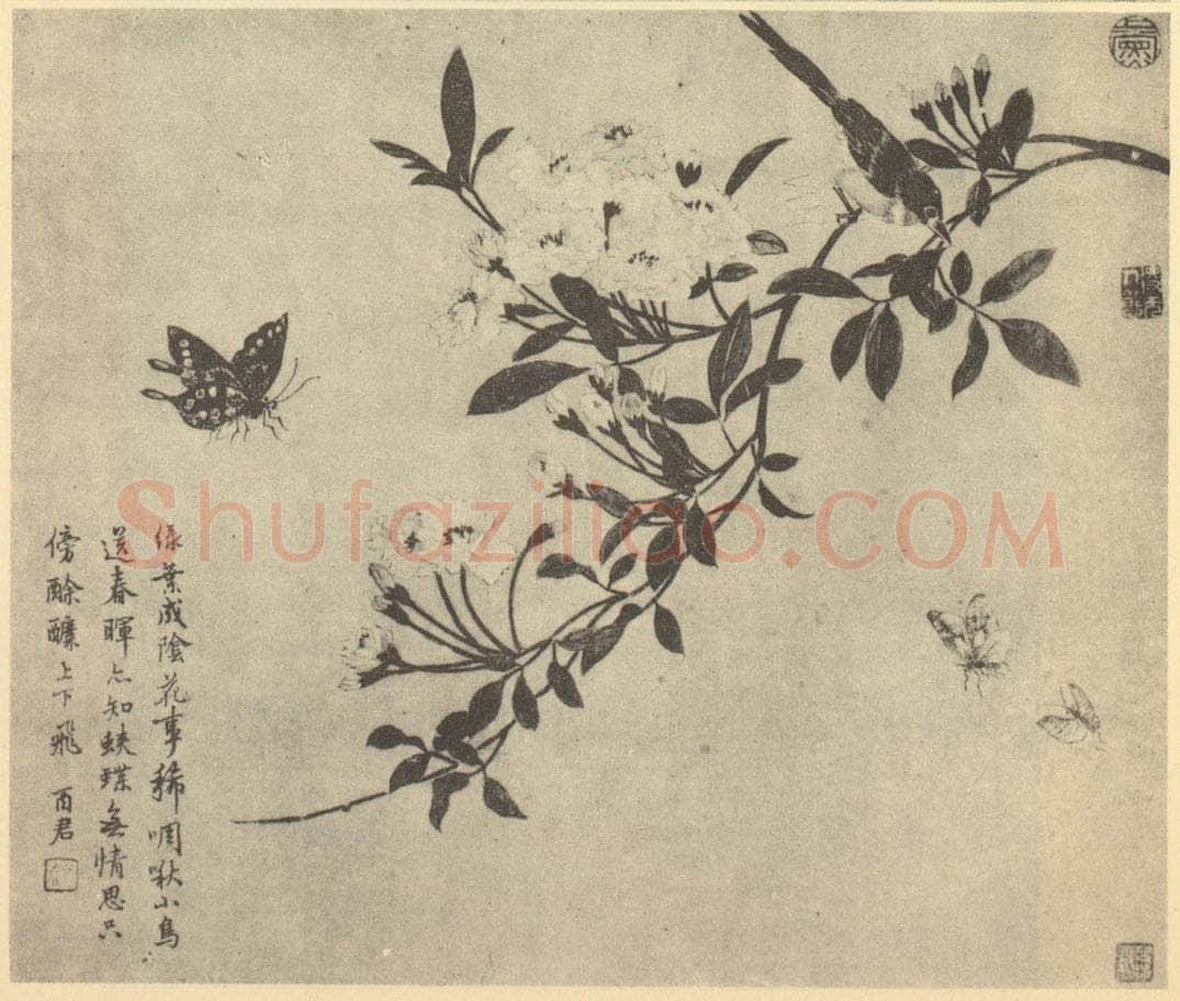 清 蒋廷锡《蛱蝶图》国画作品