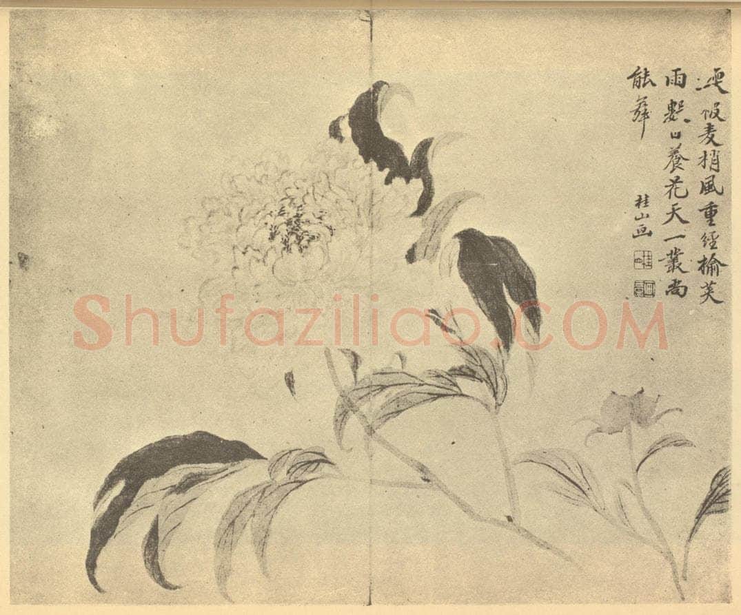 清 邹一桂《芍药》国画作品