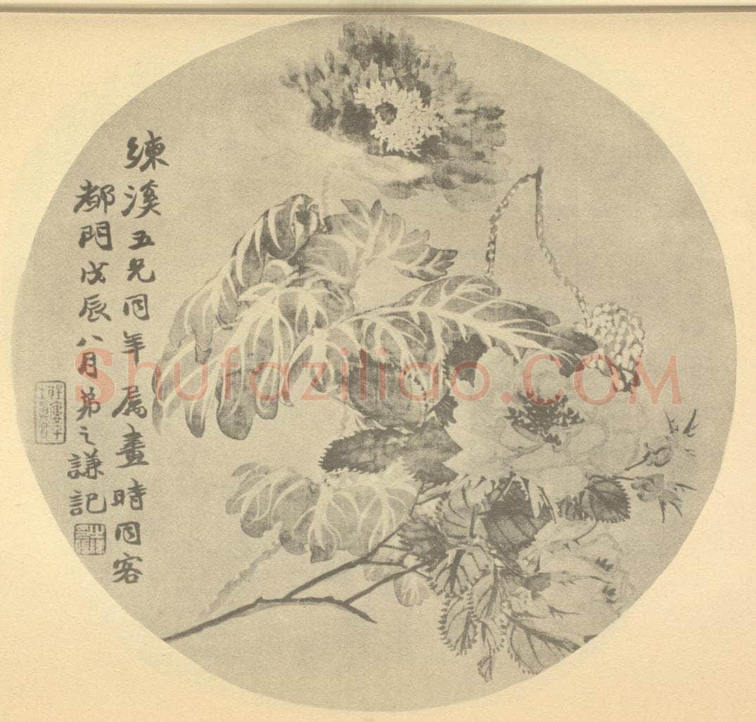 清 赵之谦《月季·虞美人》国画作品
