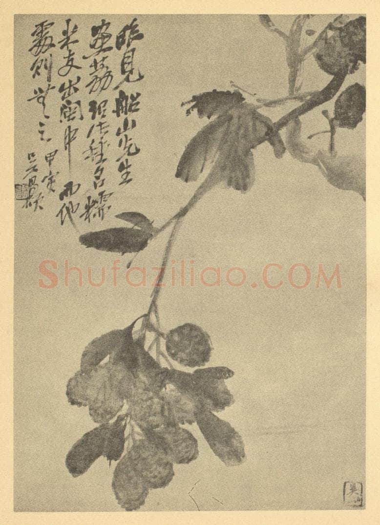 清 吴昌硕《枇杷》国画作品
