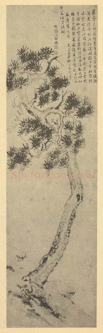 明 张鼎《松树图》国画作品