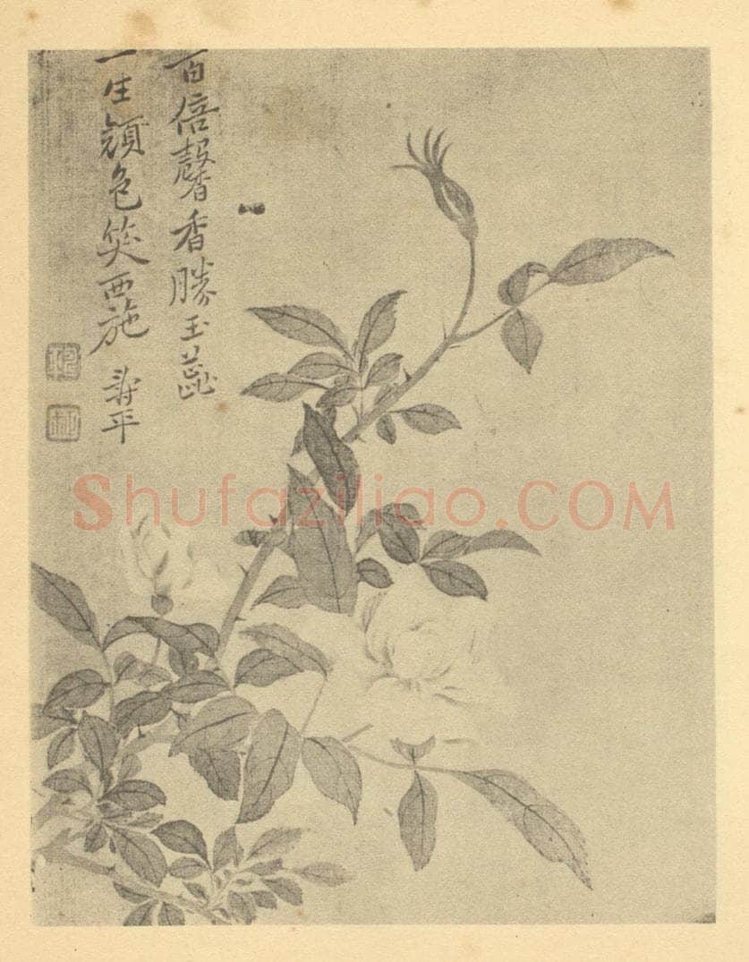 清 恽寿平《芍药》国画作品