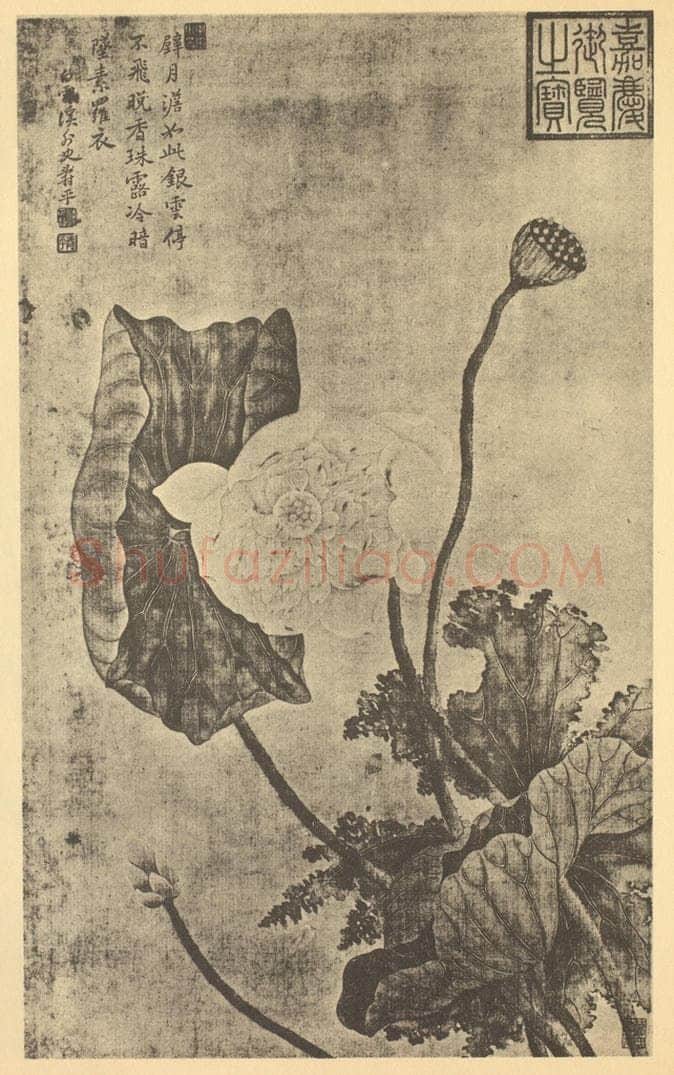 清 恽寿平《荷花图》国画作品