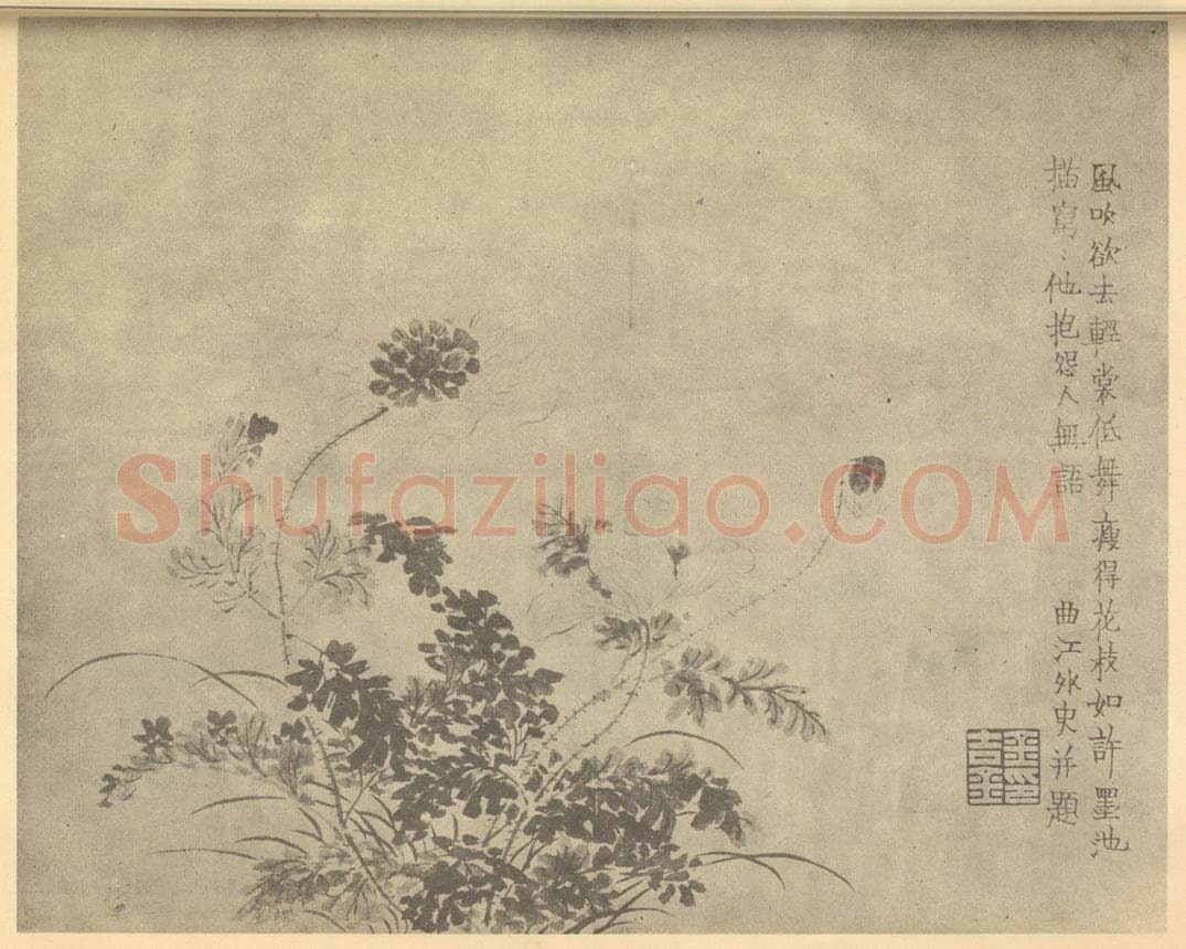 清 金农《罂粟》国画作品