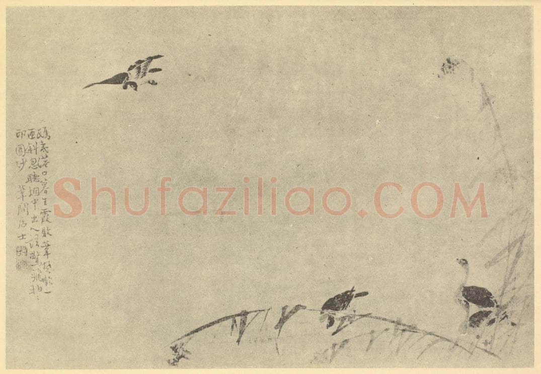 清 边寿民《芦雁图(六)》国画作品
