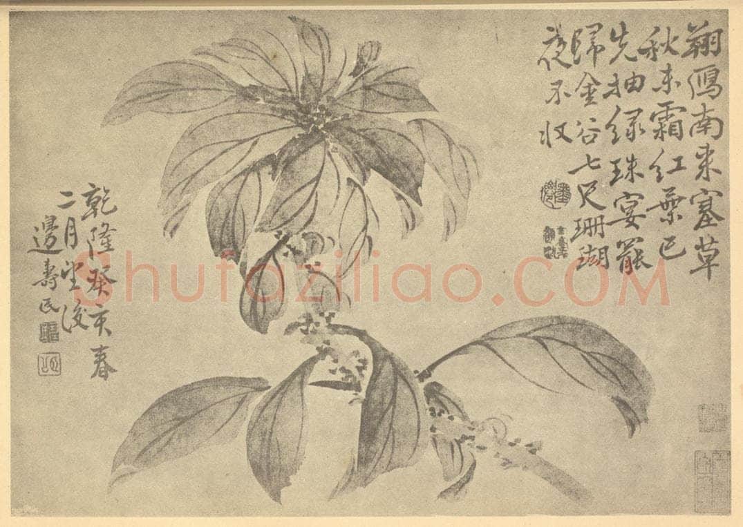 清 边寿民《桂花》国画作品