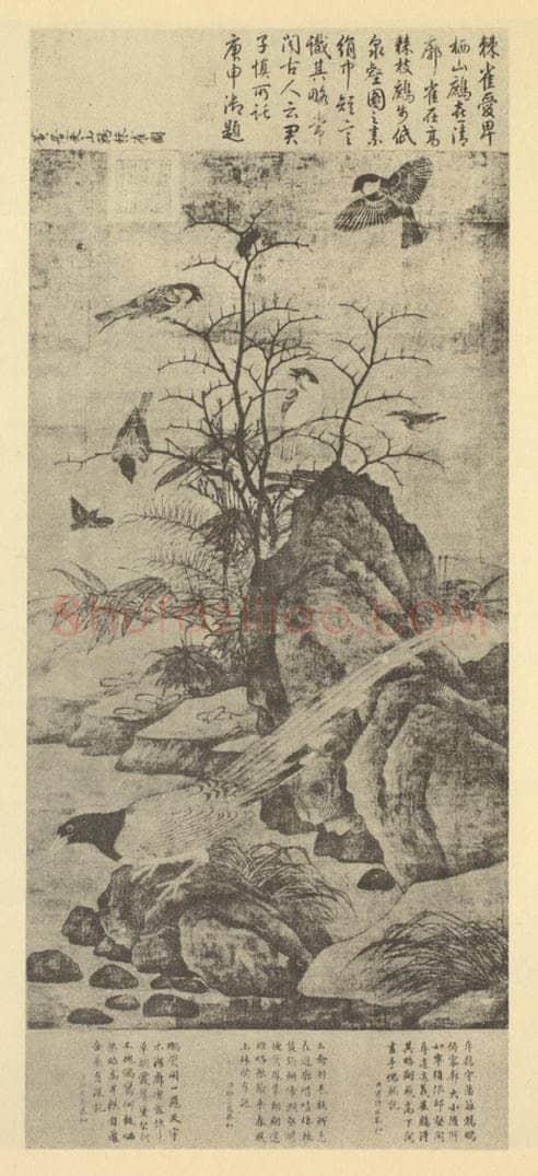 宋·辽 黄居寀《山鹧棘雀图》国画作品