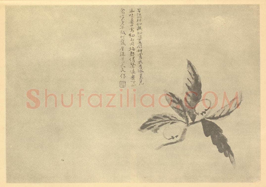 清 陈撰《枇杷》国画作品