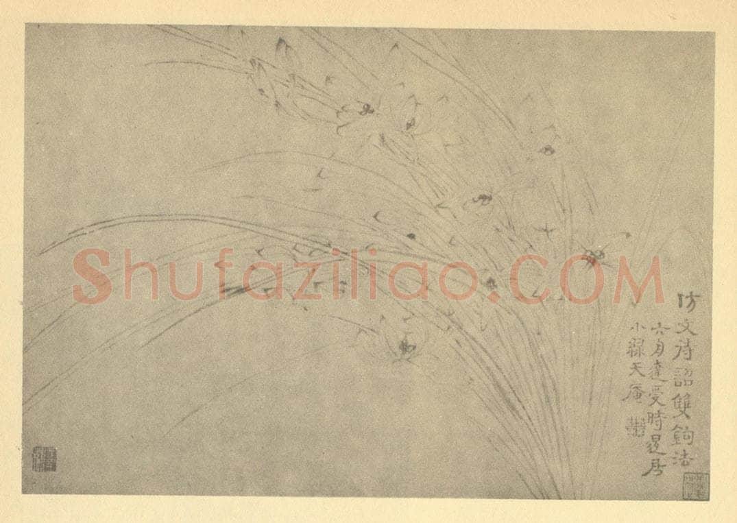 清 释达受《兰》国画作品