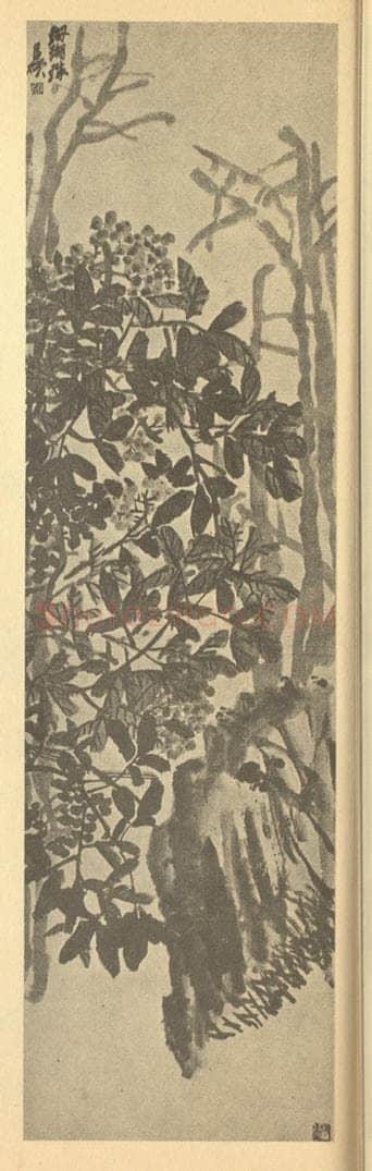 清 吴昌硕《南天竹图》国画作品